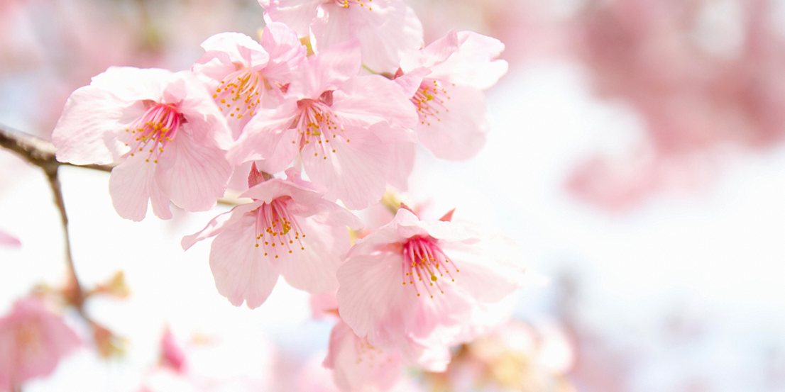 3月